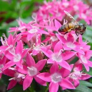 Meet your Posher, Sameh